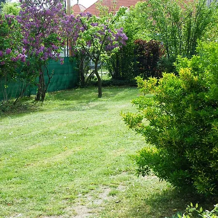 Apartment Orgona Apartman- Es Nyaralohaz